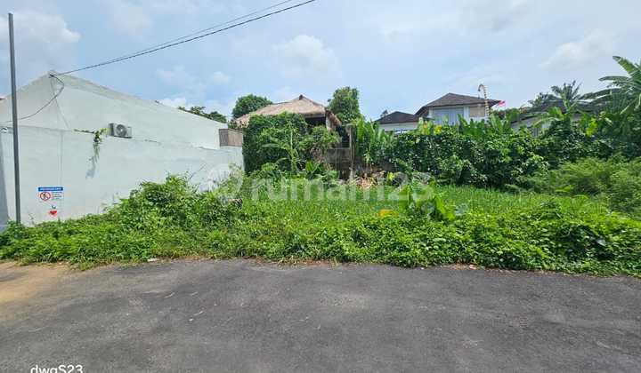 For Sale Cheap Land North Canggu 10 Minutes to Berawa Beach