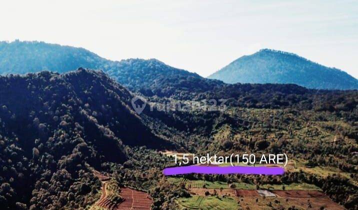 For Sale Cheap Land Freehold Munduk Gesing Bali Negotiable Price 1