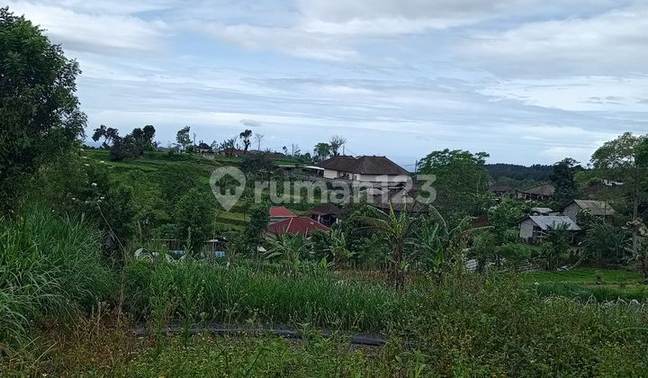 Cheap Land for Sale in Bedugul, Tabanan, Bali Price Negotiable