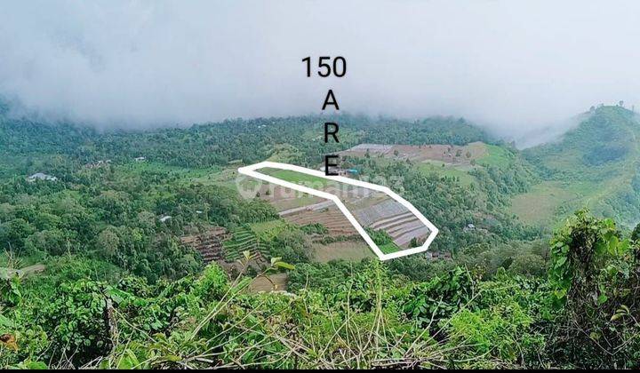 For Sale Cheap Land Freehold Munduk Gesing Bali Negotiable Price 2