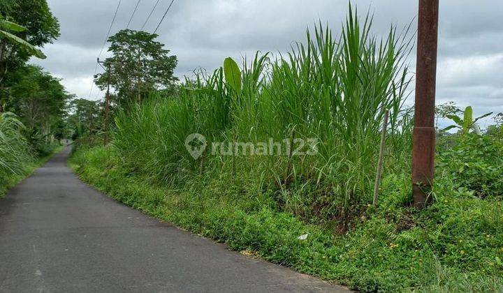 For Sale Land Ubud Tegalalang Negotiable Price Full View 2