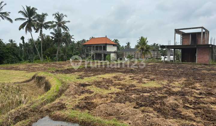 For Sale Land Ubud Pejeng View Sawah Harga Nego 1