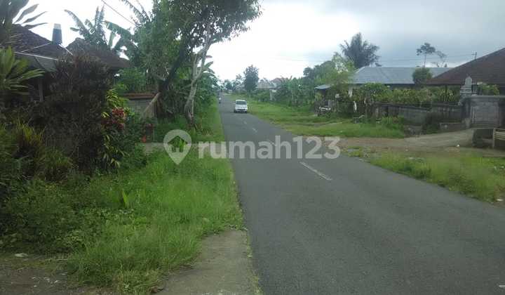 Dijual Tanah Murah Munduk Gobleg Harga Bisa Nego Dijual Tanah Murah Munduk Gobleg Harga Bisa Nego