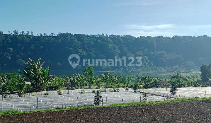 Dijual Tanah View Danau Pancasari Dasong Harga bisa Nego