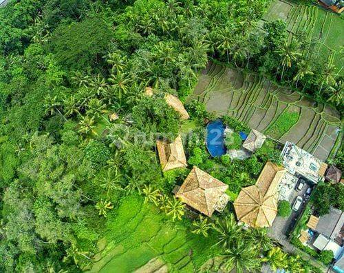 Dijual Villa Los Sungai Kaba2 Nyambu Tabanan Harga Nego 1