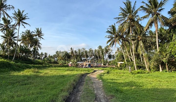 Land for Sale Near Central Ubud Peliatan, Negotiable Price