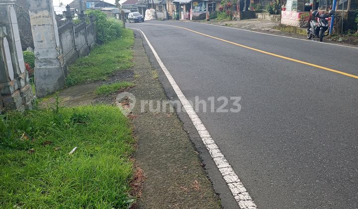 For Sale Land on Main Road Bedugul Tabanan Negotiable Price For Sale Land on Main Road Bedugul Tabanan Negotiable Price