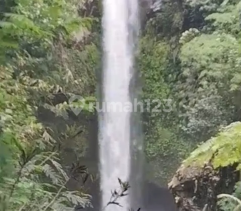 Dijual Tanah Ada Air Terjun Kubutambahan Buleleng