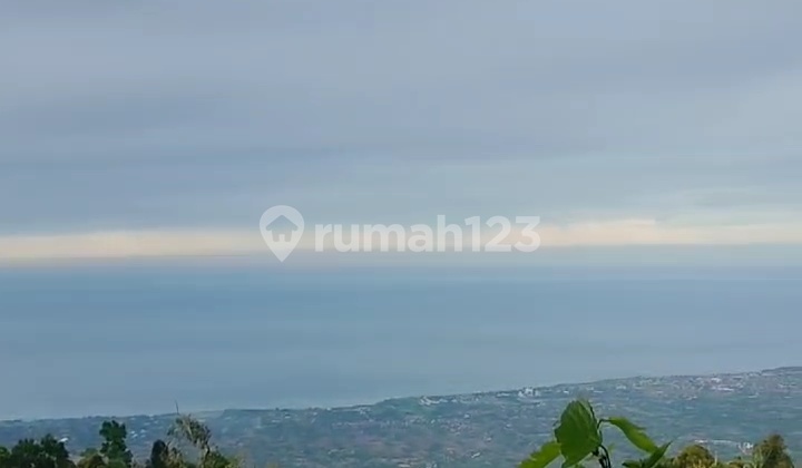 For Sale Land Munduk Buleleng Spectaculer View Nego Price
