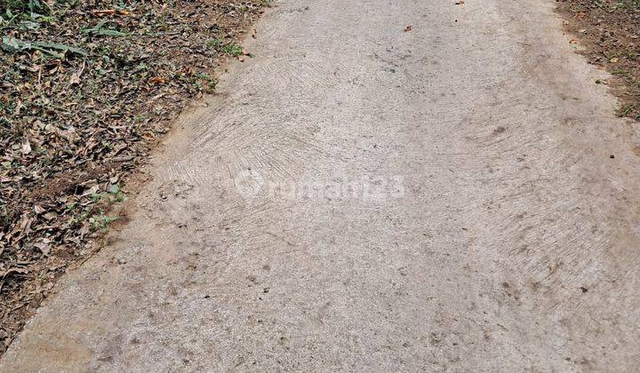 For Sale Freehold Land Munduk Buleleng Full View  2