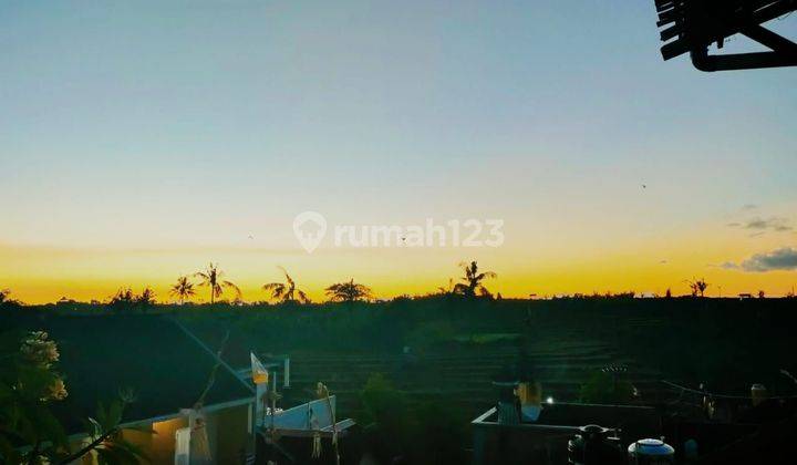 Dijual Villa Murah Pererenan Tiying Tutul Harga Negosiasi  1