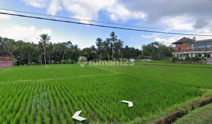 For Sale Land Ubud Mind Road Negotiable Price  2