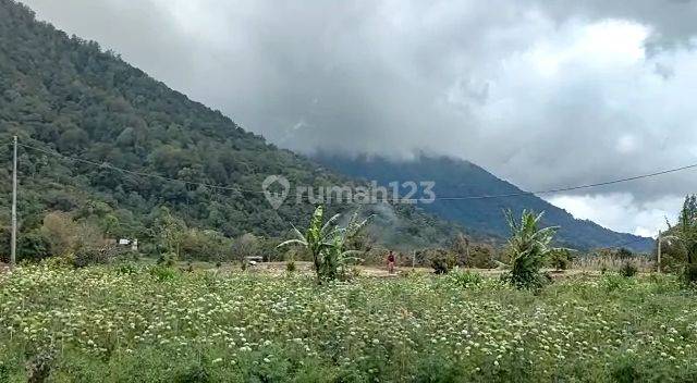For Sale Premium Land Gesing Munduk Bali Negotiable 2
