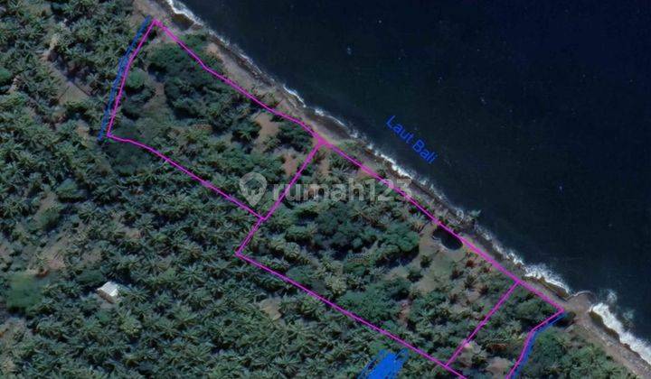 Cheap Beachfront Land for Sale in Buleleng Kubutambang Bali 2