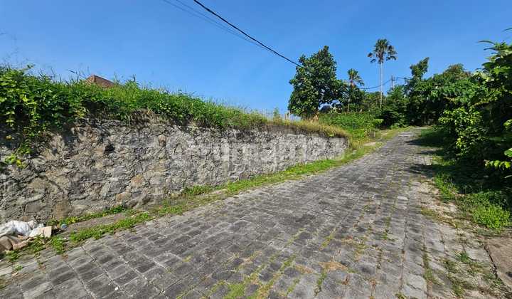 Dijual Tanah Murah Pererenan Dekat Pantai Harga Nego Dijual Tanah Murah Pererenan Dekat Pantai Harga Nego