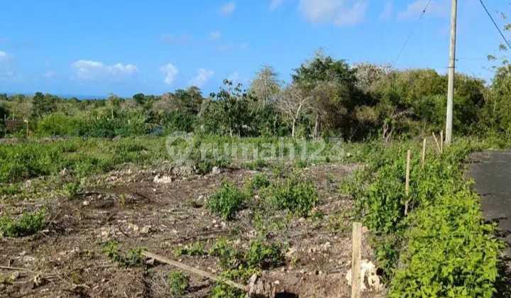 Dijual Tanah Premium Pecatu Kuta Selatan Harga bisa Nego