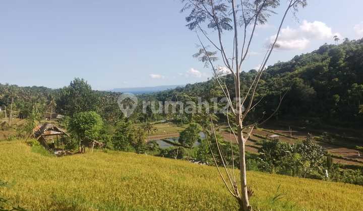 For Sale Land Seraya Karangasem Negotiable Price 2