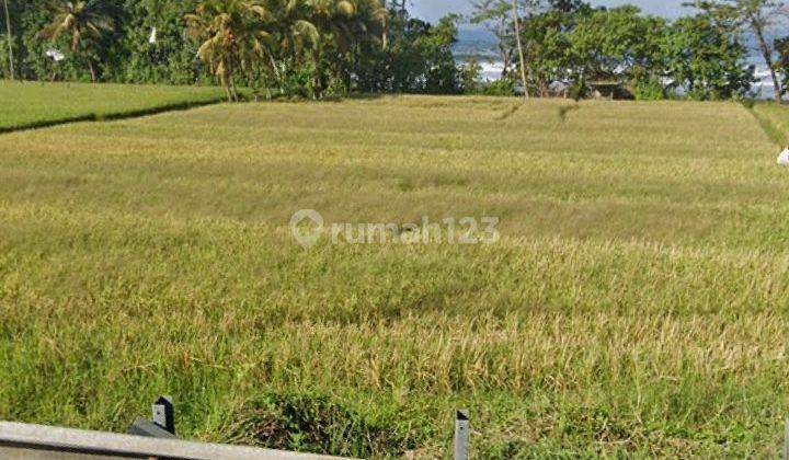 Dijual Tanah Los Pantai Jalan Utama Raya Gilimanuk Denpasar  2