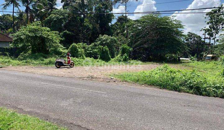 For Sale Cheap Land Kaba Kaba Tabanan Bali Price Negotiable 1