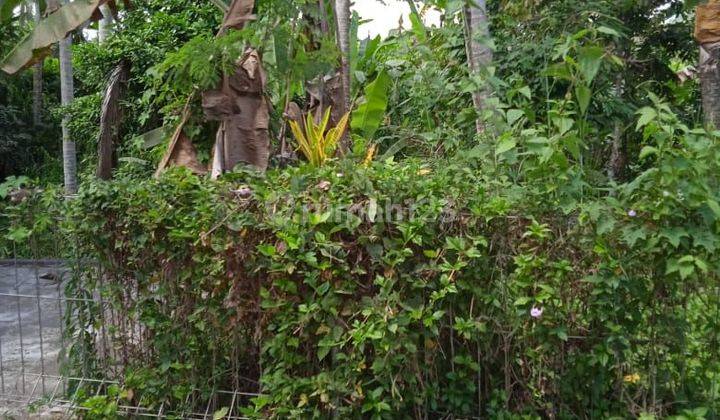 Cheap land for sale Ubud Kengetan Los Sungai View Sawah 2