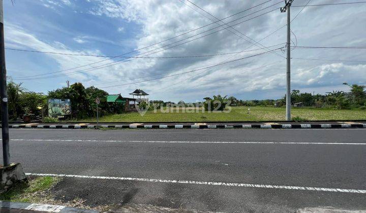 Dijual Tanah Murah Jln Utama Tanah Lot Tabanan Bali  1