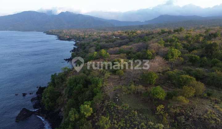 Dijual Tanah Los Tebing Lokasi Kubu Karangasem Bali Dijual Tanah Los Tebing Lokasi Kubu Karangasem Bali