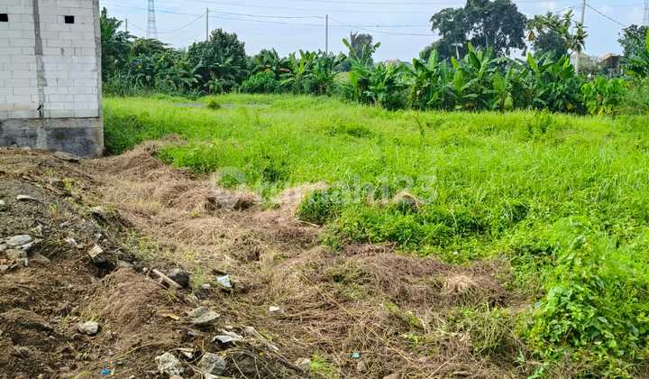 Dijual Tanah Murah Tangeb Dekat Cepaka Munggu Itr Kuning Dijual Tanah Murah Tangeb Dekat Cepaka Munggu Itr Kuning