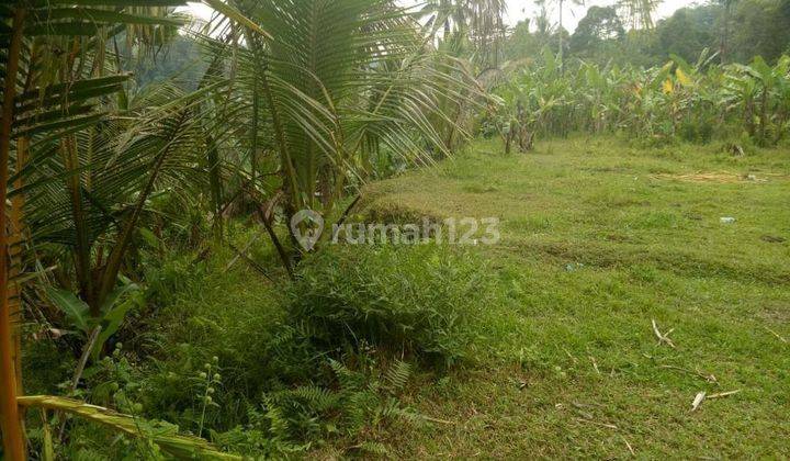 Dijual Tanah Murah Ubud Payangan Los Sungai Ayung Harga Nego  1