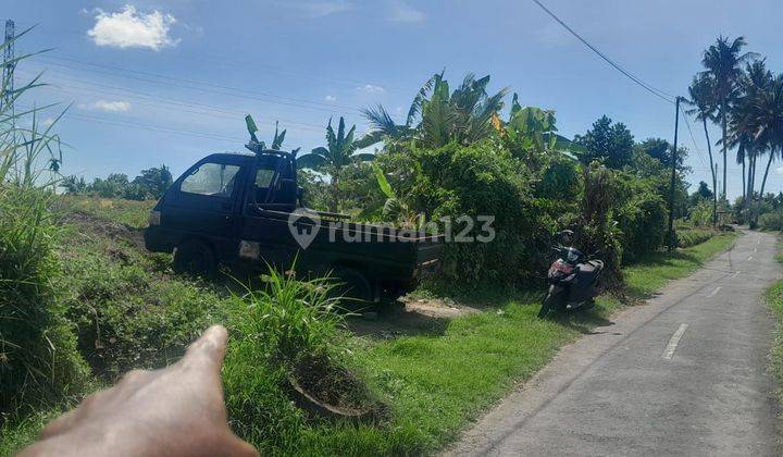 For Sale Freehold Land Ubud Sakah Sukawati Negotiable Price  2