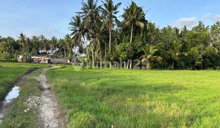 Land for Sale Near Central Ubud Peliatan, Negotiable Price