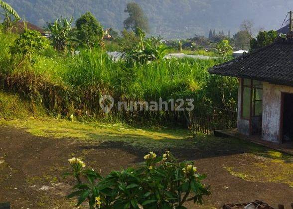 Dijual Tanah Premium Bedugul Tabanan Full View Danau 2