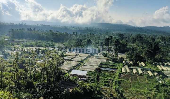 For Sale Cheap Land Wanagiri Bedugul Main Road Good View