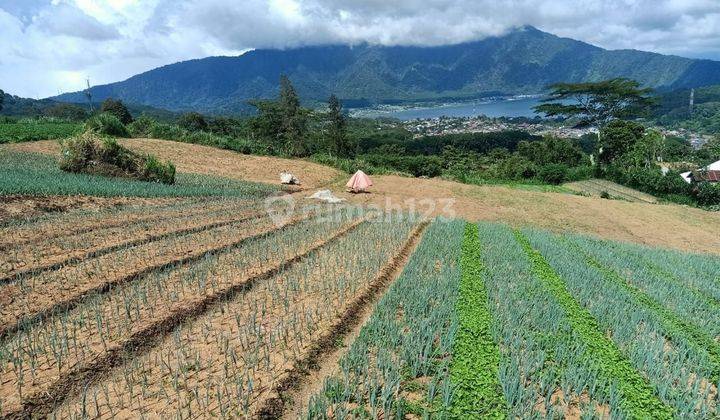 Dijual Tanah Murah Bedugul Bali View Danau Dan Alam Yang Indah 1