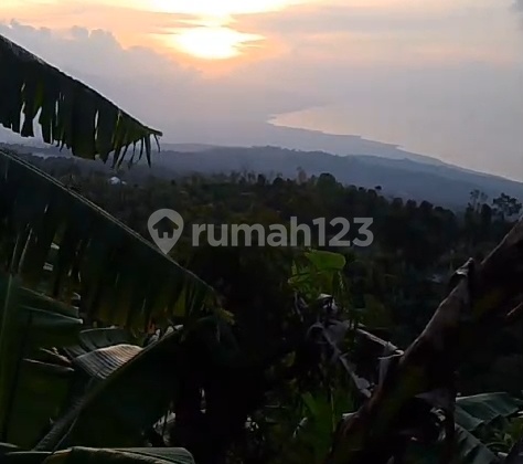 For Sale Land Munduk Buleleng Full View Spectaculer