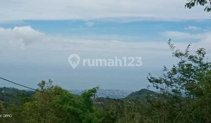 Affordable Land for Sale in Wanagiri Munduk with a Natural Spring