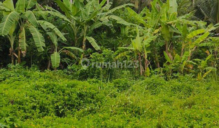 For Sale Chep Land Lokasi Ubud Area Harga Bisa Nego 2