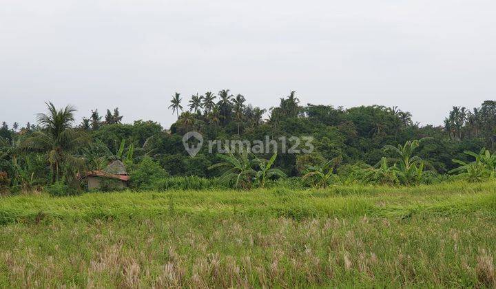 Dijual Tanah Murah Jln Utama Kemenuh Jembatan Kaca Ubud Bali 2