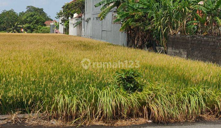 Disewakan Tanah Jalan Utama Raya Gadon Beringkit Cocok Gudang 2