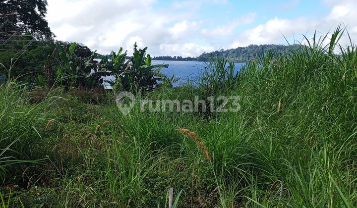 Dijual Tanah View Danau Beratan Bedugul Harga bisa Nego