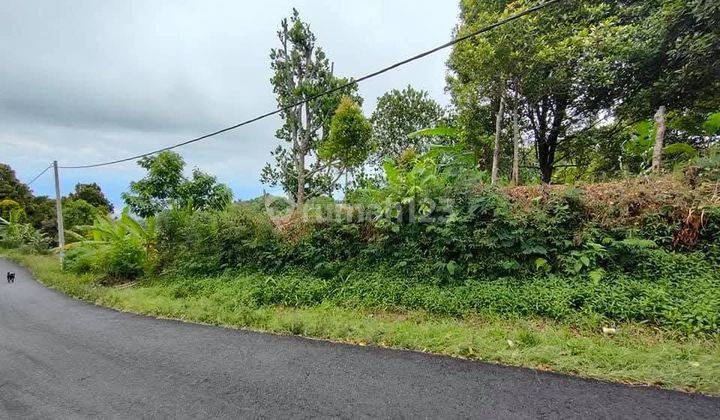 For Sale Land Munduk Buleleng Bali Super Murah View Laut 2