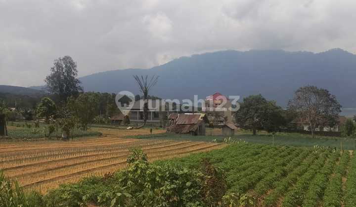 Dijual Tanah Murah Bedugul Dekat Bloom Garden Harga Murah Dijual Tanah Murah Bedugul Dekat Bloom Garden Harga Murah