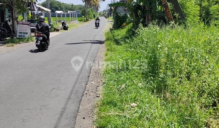 Jual Tanah Kedungu Tabanan Jalan Utama Harga Bisa Nego Jual Tanah Kedungu Tabanan Jalan Utama Harga Bisa Nego