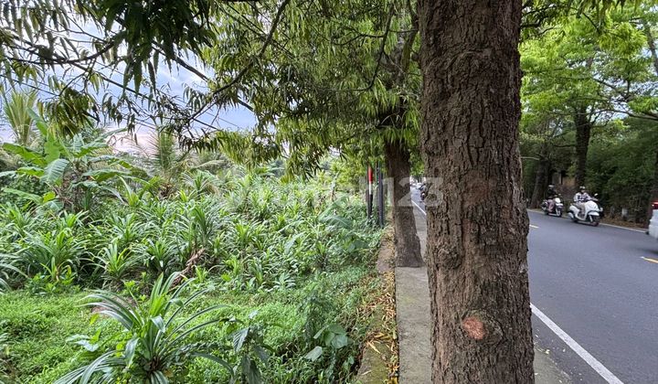 Dijual Tanah Jalan Utama Kemenuh Gianyar Bali Harga Bisa Nego Dijual Tanah Jalan Utama Kemenuh Gianyar Bali Harga Bisa Nego