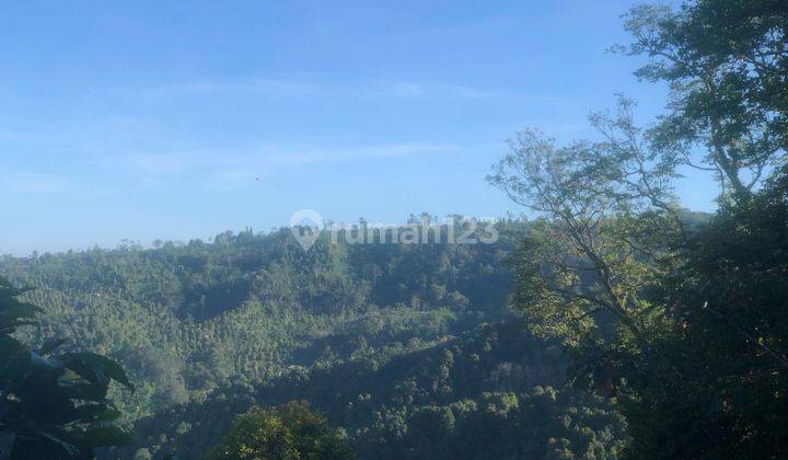 For Sale Premium Land Munduk Buleleng Full View Ocean  2