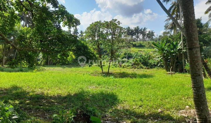 Dijual Tanah Murah Kemenuh Ubud Bali View Air Terjun Sumampan 1