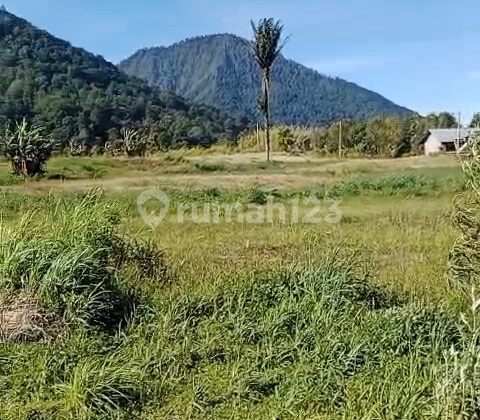 Dijual Tanah Murah Munduk Buleleng Full View Harga Murah