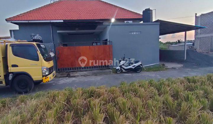 Dijual Rumah Murah Abianbase Mengwi Badung Bali Harga Nego 1