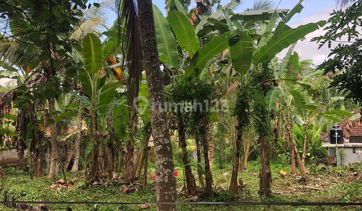 For Sale Land Ubud Pejeng Gianyar Bali Negotiable Price 2