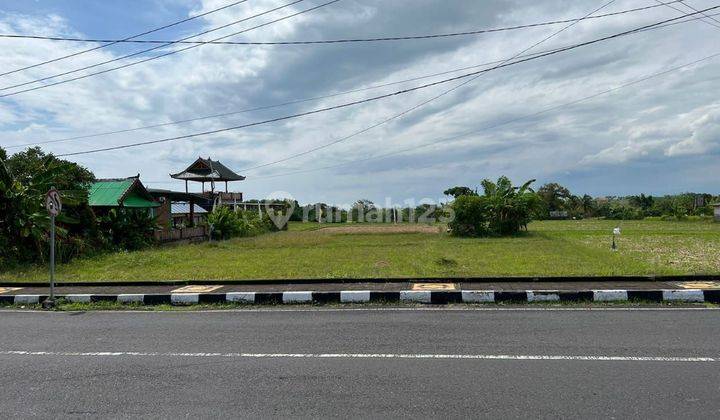 Dijual Tanah Murah Jln Utama Tanah Lot Tabanan Bali  2