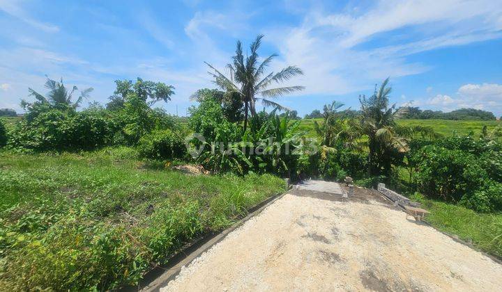 Dijual Tanah Tanah Pantai Kedungu Tabanan Harga Nego 2